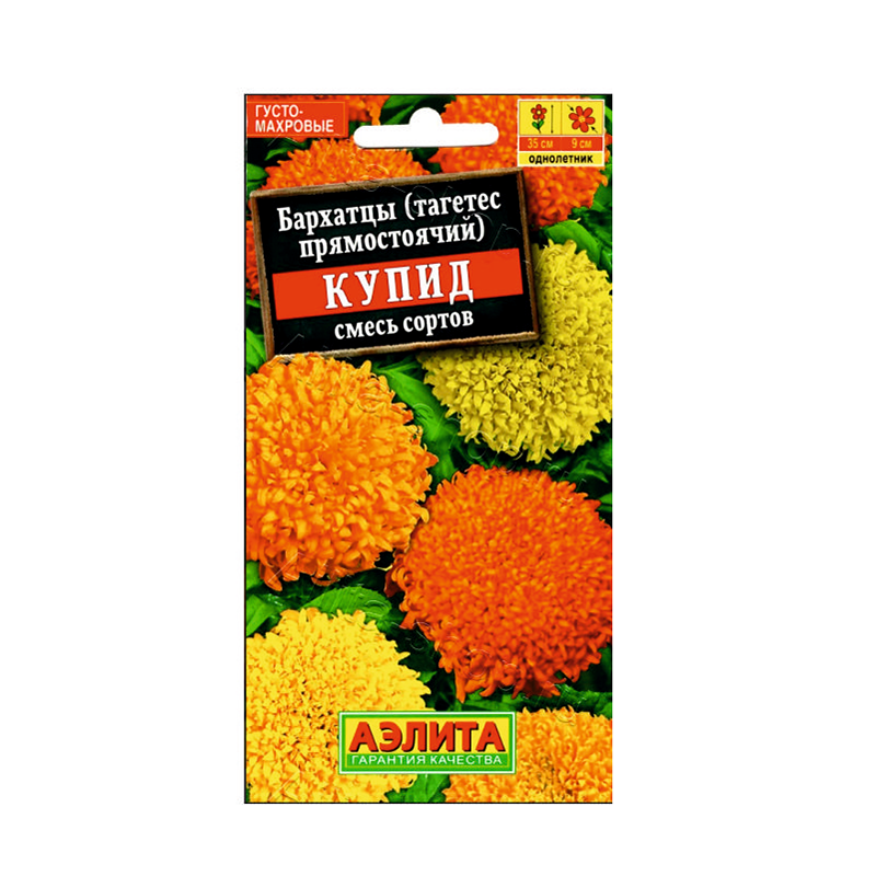 Бархатцы Купид
