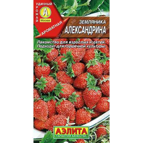 image-Photoroom (58)