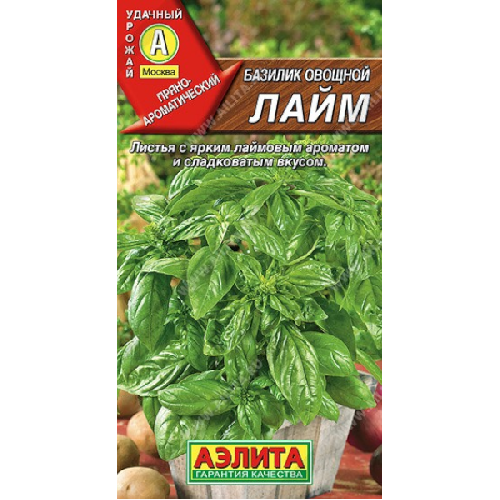 image-Photoroom (37)-Photoroom (29)