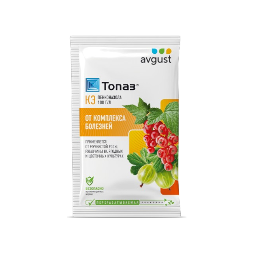 ТОПАЗ-Photoroom