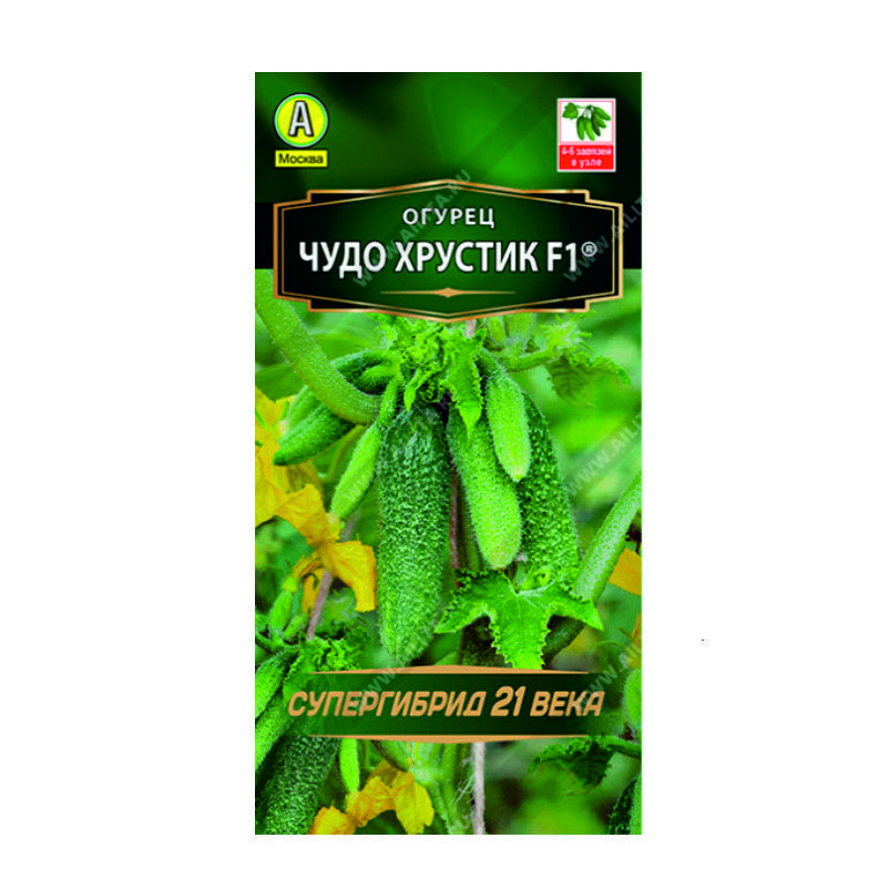 О0079767