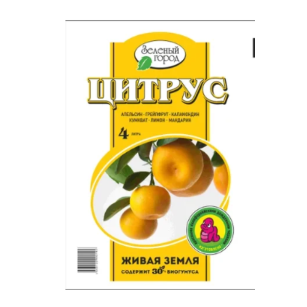 цитрус
