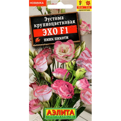 image-Photoroom (44)