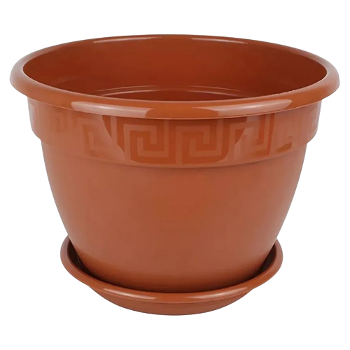 image-Photoroom (18)