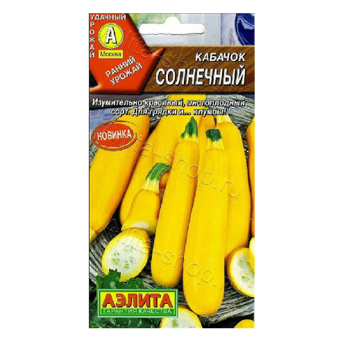 Кабачок солнечный