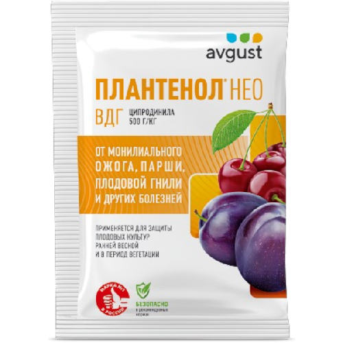 image-Photoroom (37)-Photoroom (32)