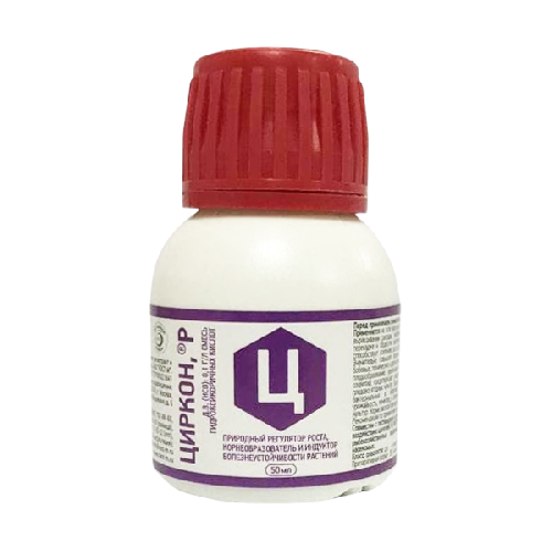 image-Photoroom (37)-Photoroom (11) — копия