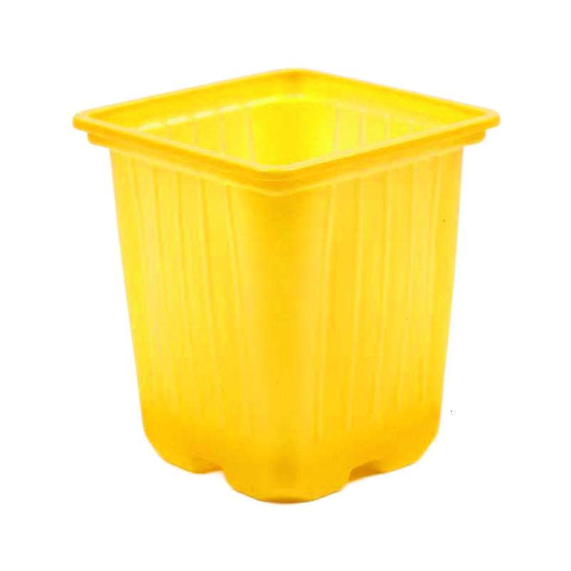 О0081812