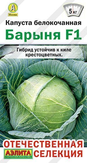 Капуста б.к Барыня F1