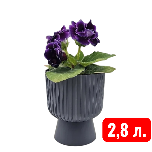 Беккер антрацид 2,8