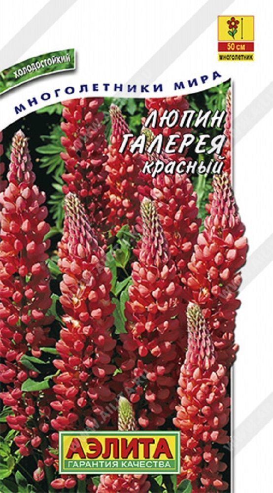 Нет