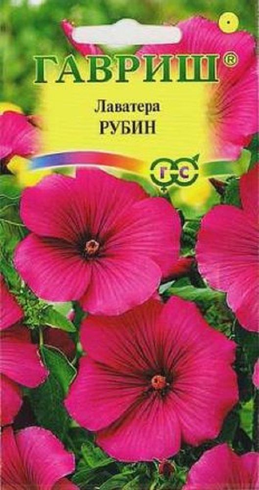 Нет