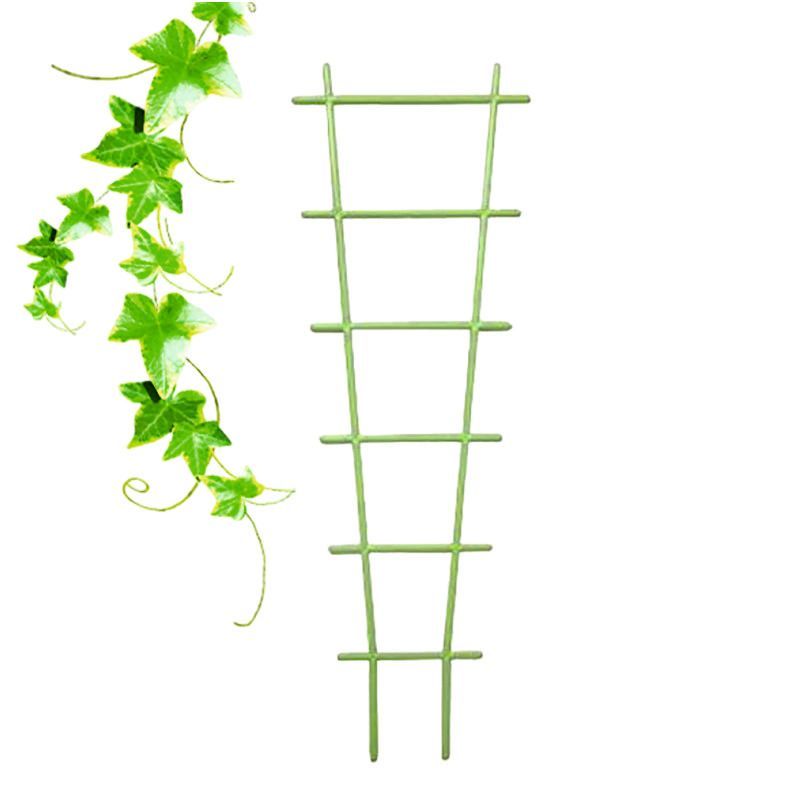 лесенка мята