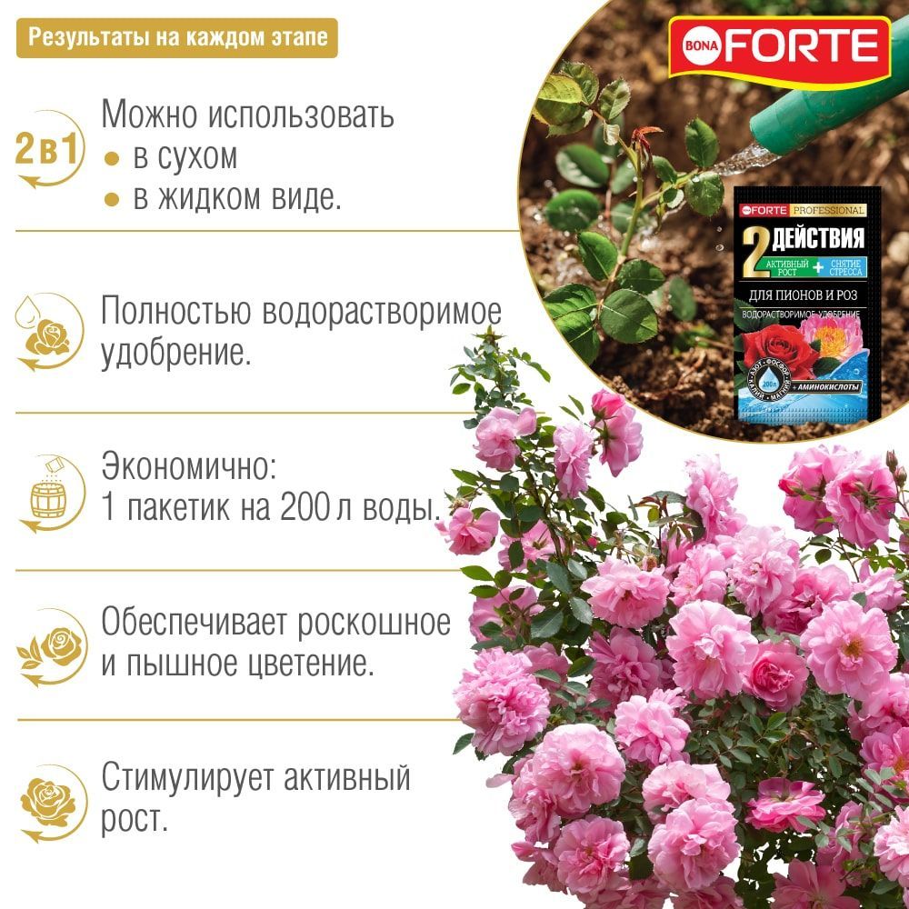 full_rozy_vodorast_rezult-min