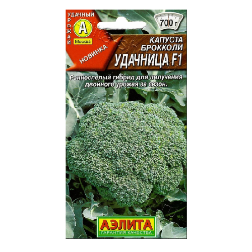 брокколи Удачница