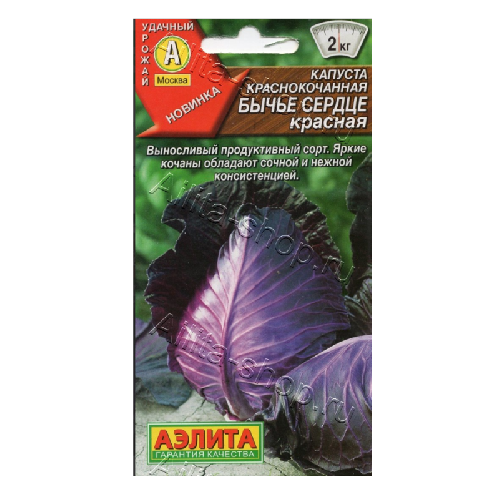 капуста бычье сердце