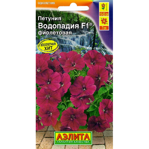 image-Photoroom (51)