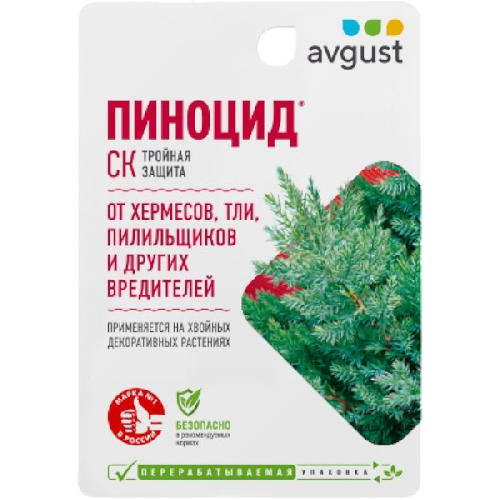 image-Photoroom (37)-Photoroom (30)