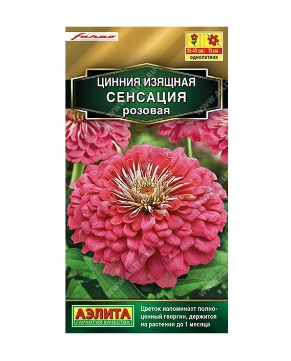 Цинния Сенсация розовая.jpeg