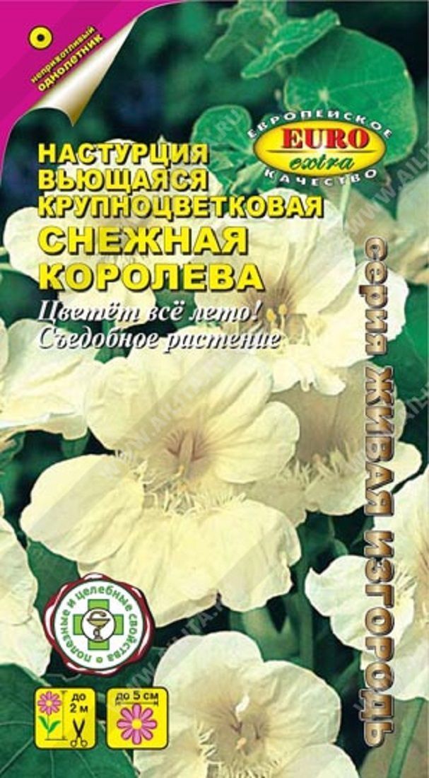 Нет