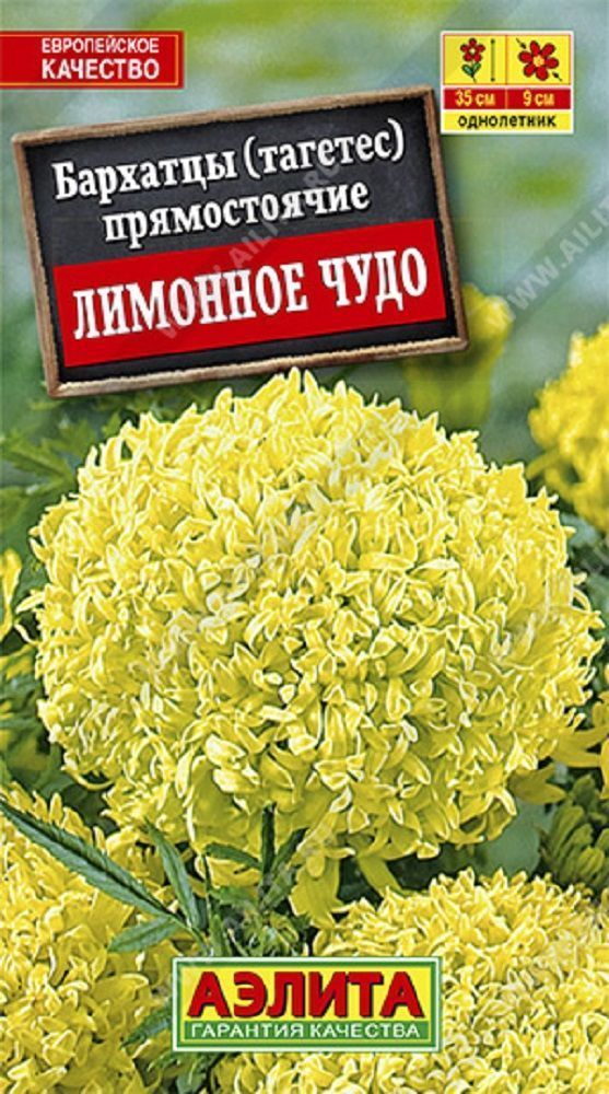 Нет