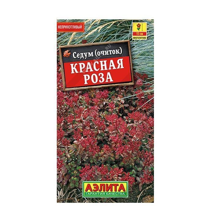 Седум Красная роза.jpeg