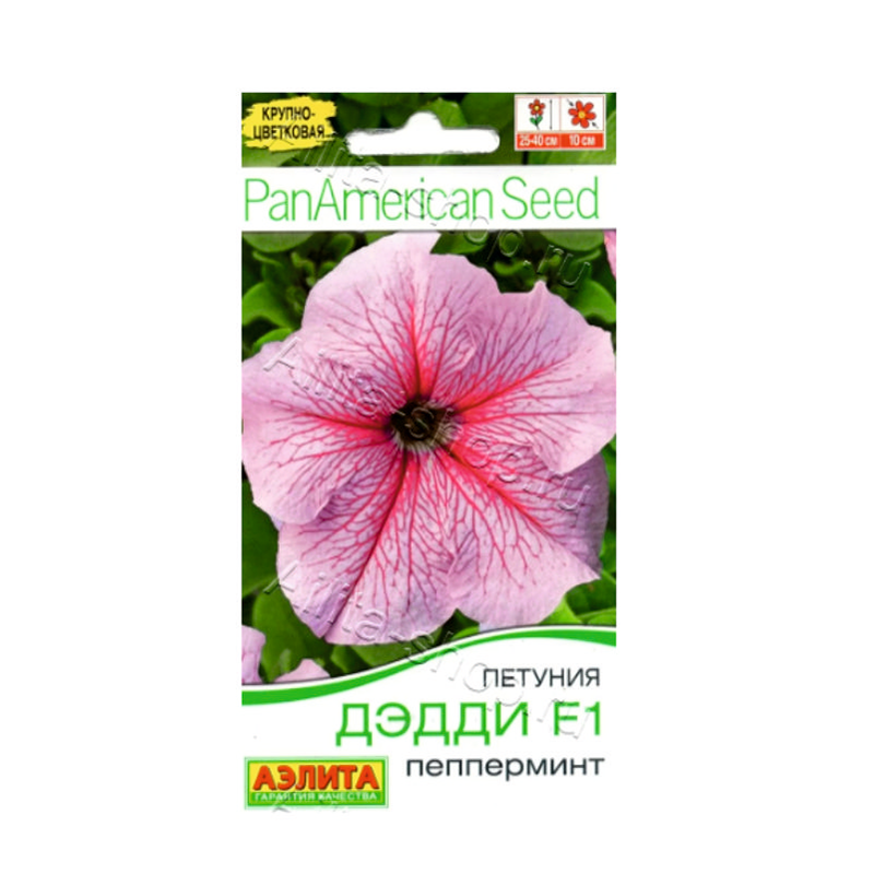 петуния дэдди пеперминт