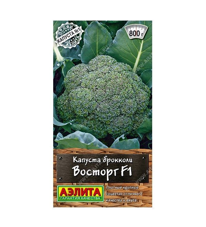 Капуста брокколи Восторг F1
