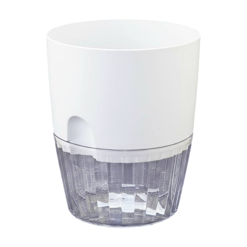 image-Photoroom (26)