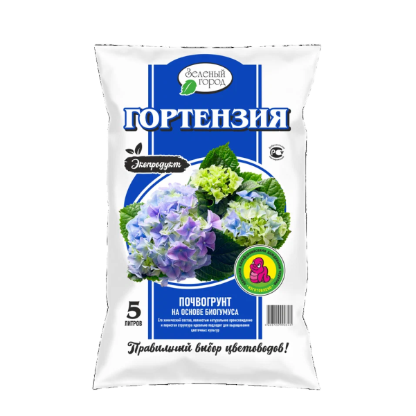гортензия 5 л
