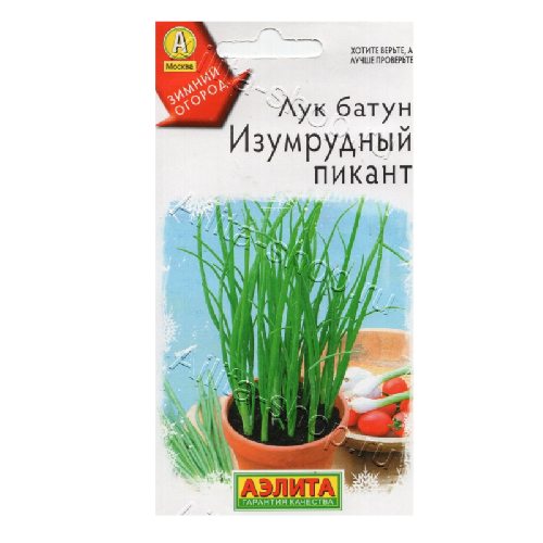 лук батун изумрудный пикант