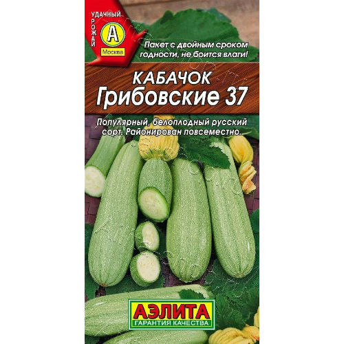 image-Photoroom (56)