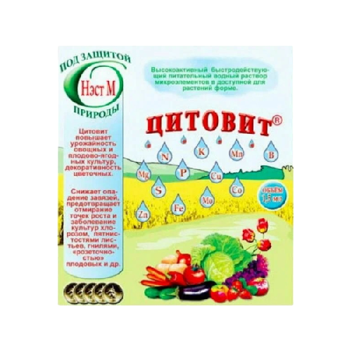 image-Photoroom (37)-Photoroom (10) — копия