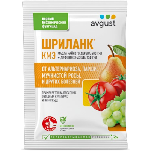 image-Photoroom (37)-Photoroom (48)