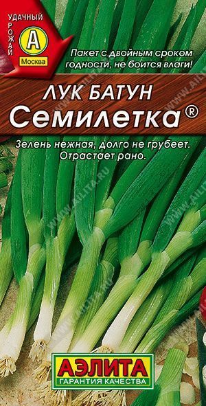 Лук батун Семилетка Мн