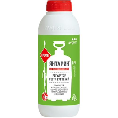 image-Photoroom (37)-Photoroom (50)