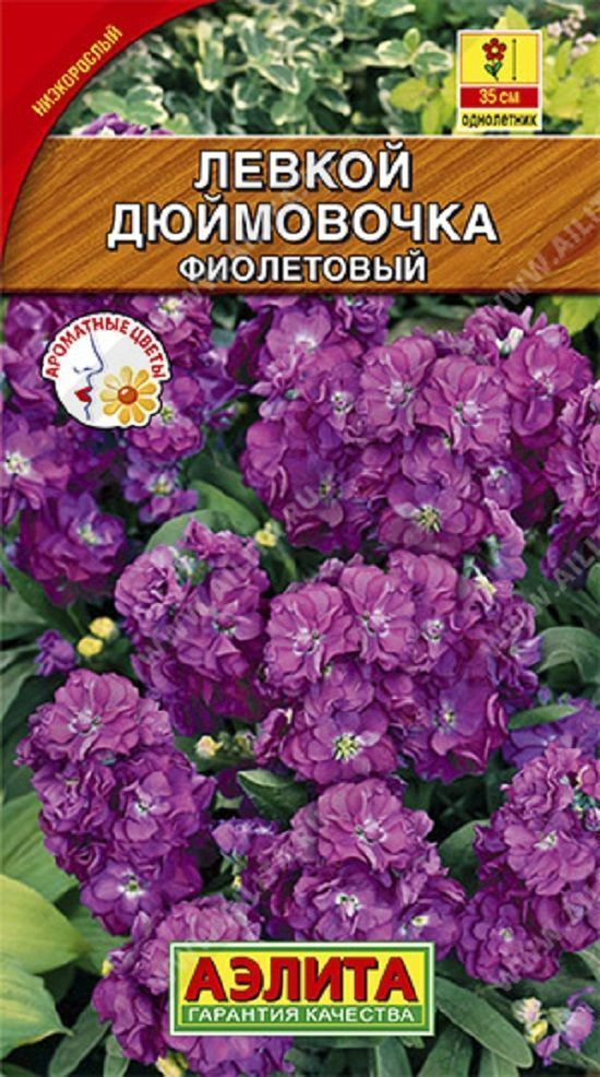 Нет