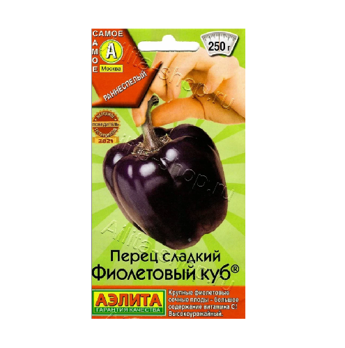 Перец сладкий Фиолетовый куб