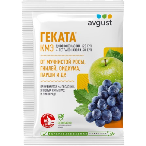 image-Photoroom (37)-Photoroom (20)