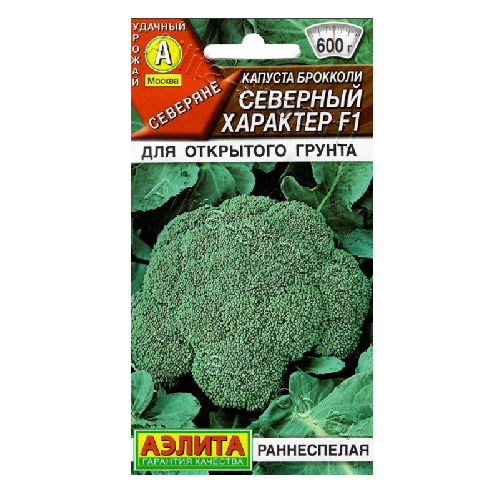 капуста брокколи северный характер