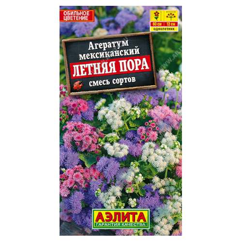 image-Photoroom (39)