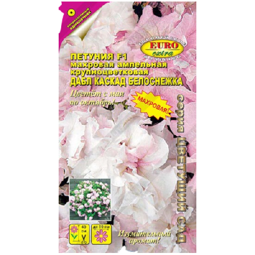 image-Photoroom-Photoroom (10)