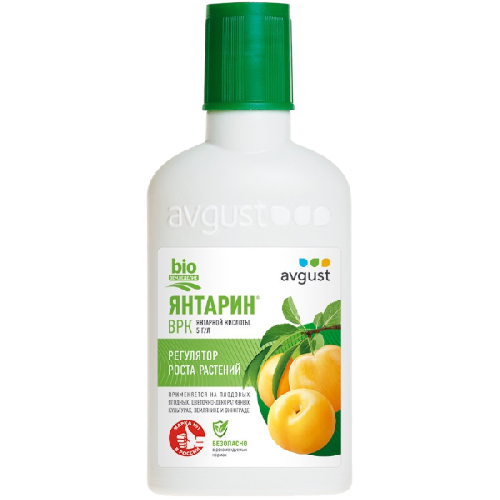 image-Photoroom (37)-Photoroom (49)