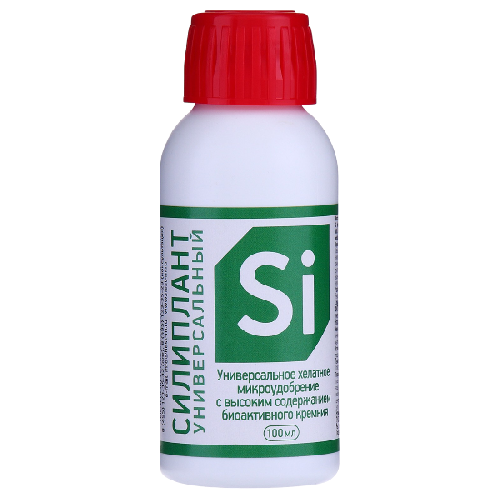 image-Photoroom (37)-Photoroom (13) — копия