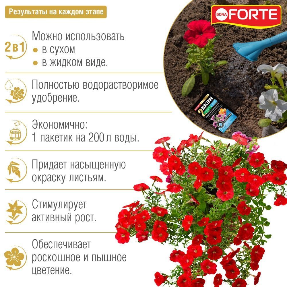 full_petunii_vodorast_rezult-min