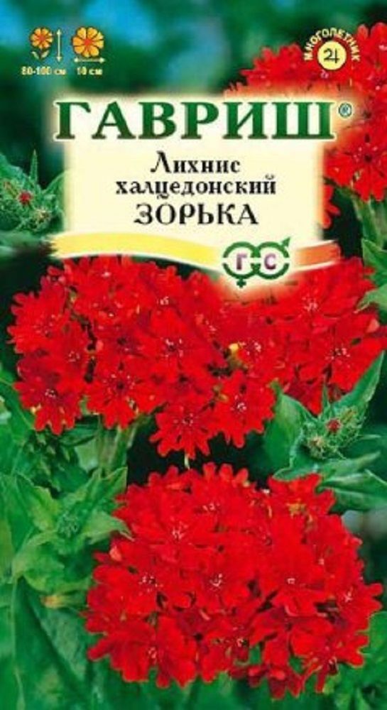 Нет