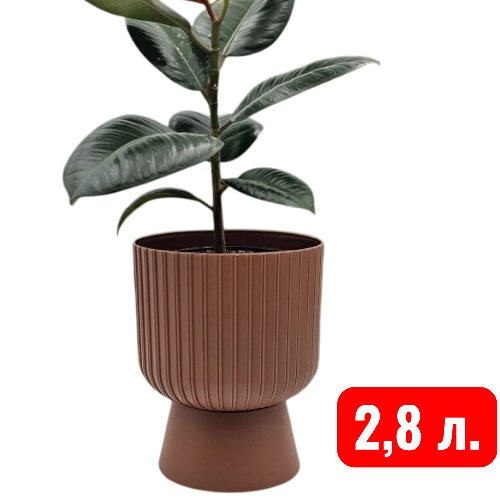 Беккер терракот  2,8