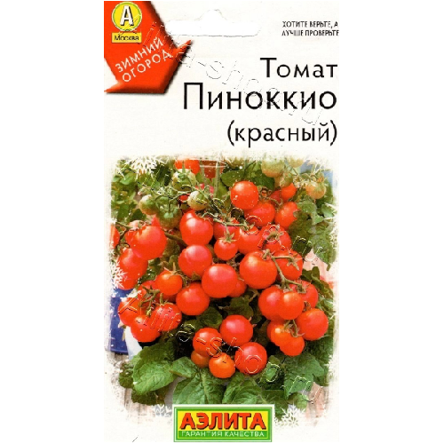 image-Photoroom-Photoroom (9)