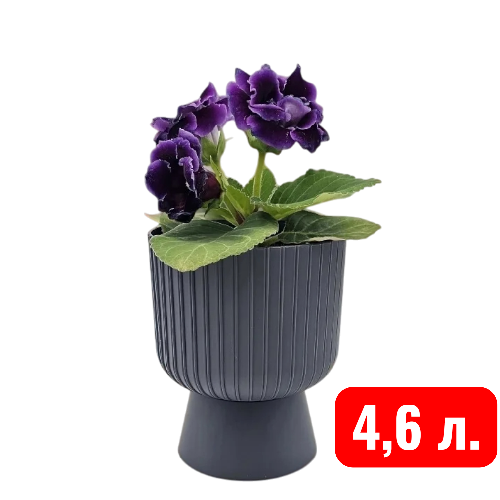 Беккер антрацид 4,6