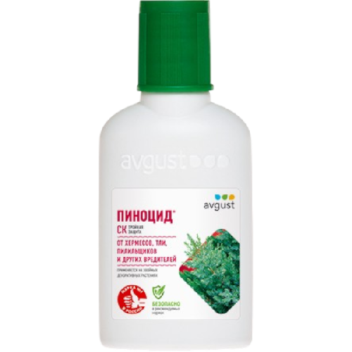 image-Photoroom (37)-Photoroom (31)